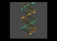 The DNA of Mathematics -the 60 first digits of 'pi' and '1/pi'- 