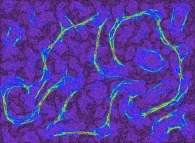 Time-integration with transparencies of the bidimensional Ising Model with 2-state spins, temperature=0.2 and random initial conditions -display of tilting sites only- 