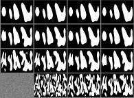 The bidimensional Ising Model with 2-state spins, temperature=0.2, a non-isotropic kernel and random initial conditions 