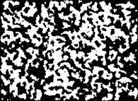 The bidimensional Ising Model after 1000 iterations, with 2-state spins, random initial conditions and for a temperature equal to the critical temperature 