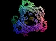 A pseudo-quaternionic Julia set ('MandelBulb' like: a 'JuliaBulb')computed with A=(-0.58...,+0.63...,0,0) -tridimensional cross-section- 