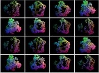 2.pi rotation about the Y axis of a pseudo-quaternionic Julia set ('MandelBulb' like: a 'JuliaBulb')-tridimensional cross-section- 