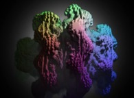 A foggy pseudo-octonionic Julia set ('MandelBulb' like: a 'JuliaBulb')computed with A=(-0.58...,+0.63...,0,0,0,0,0,0) -tridimensional cross-section- 