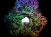 A foggy pseudo-octonionic Julia set ('MandelBulb' like: a 'JuliaBulb')computed with A=(-0.58...,+0.63...,0,0,0,0,0,0) -tridimensional cross-section- 