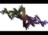 The quaternionic Julia set -degree=2- computed with A=(-0.581514...,+0.635888...,0,0)-tridimensional cross-section- 