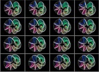 Rotation about the Y (vertical)axis of the 7-foil torus knot on its torus, that can also be viewed as a set of 4x3 stereograms 