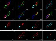 The Lorenz attractor -sensitivity to integration methods used (Red=Euler, Green=Runge-Kutta/2nd order, Blue=Runge-Kutta/4th order)- 