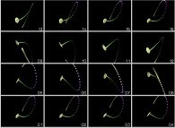 Rotation about the X axis of the Lorenz attractor (1000 iterations), computed simultaneously on two different computers 