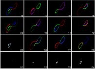 The Lorenz attractor -sensitivity to initial conditions (the Red one, the Green one and the Blue one)- 