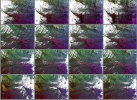 A set of 4x3 stereograms of a tridimensional visualization of the Verhulst dynamics 