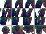 Zoom in on a pseudo-quaternionic Mandelbrot set (a 'Mandelbulb')-tridimensional cross-section- 