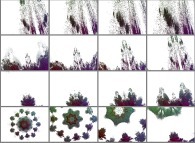 Zoom in on a pseudo-quaternionic Mandelbrot set (a 'Mandelbulb')-tridimensional cross-section- 