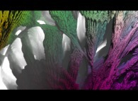 Close-up on a pseudo-octonionic Mandelbrot set (a 'Mandelbulb')-tridimensional cross-section- 