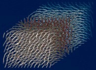 Artistic view of the tridimensional integration of the phase rotation of the wavelet transform of a bidimensional fractal field 