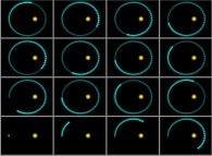 N-body problem integration (N=2)displaying a perfect Keplerian orbit 