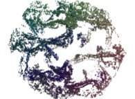 A pseudo-quaternionic Julia set ('MandelBulb' like: a 'JuliaBulb')computed with A=(-0.58...,+0.63...,0,0) -tridimensional cross-section- 