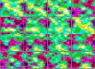 The set of bidimensional fields defining the 'Y' coordinate of a dynamic 'crumpled' Klein bottle 