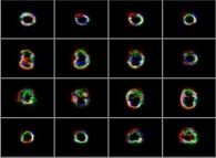 Animation of bidimensional textures by means of the self-transformation of a fractal process 