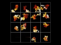 The 8192 first prime numbers displayed modulo the 16 smallest ones -ramdom walk like trajectories- 