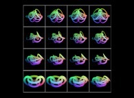 Une interpolation entre deux ensembles de tores entrelacés -quatre et seize respectivement- définie à l'aide de trois ensembles de champs bidimensionnels 