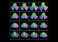 An interpolation between sixteen interlaced torus and the quadruple Jeener bottle defined by means of three sets of bidimensional fields 