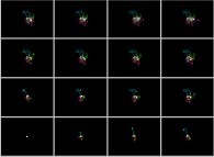 Isotropic random walk of 4 particles on a bidimensional square lattice with display of their gravity center -white particle- 