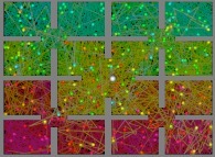 Bidimensional Sierpinski billiard with 256 random particles, with collisions and display of their gravity center -white particle- 