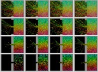 Diffusion between two boxes (initial conditions: the left one is empty, the right one contains 256 particles), with collisions and a time-dependent geometry 