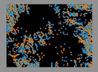 Bidimensional fractal aggregates 