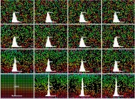 A bidimensional periodical fluid with a central obstacle and with display of velocity histograms 