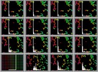 Bidimensional fractal aggregates obtained by means of pasting during collisions with display of the velocity histogram 