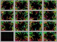 Particles in a bidimensional box submitted to a repulsive central field of gravity 