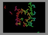 Bidimensional fractal aggregates obtained by means of pasting during collisions of particles submitted to an attractive central field of gravity 