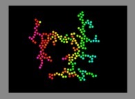 Bidimensional fractal aggregate obtained by means of pasting during collisions of particles submitted to an attractive central field of gravity 