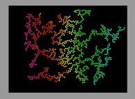 Bidimensional fractal aggregate obtained by means of a 100% pasting process during collisions of particles submitted to an attractive central field of gravity 