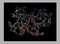 Bidimensional fractal aggregate obtained by means of a 100% pasting process during collisions of particles submitted to an attractive central field of gravity 