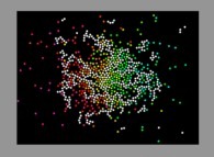 Bidimensional fractal aggregate obtained by means of a 50% pasting process during collisions of particles submitted to an attractive central field of gravity 