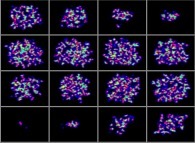 Cross-sections inside a tridimensional fractal aggregate 