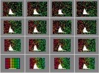 Expansion of a gas inside a bidimensional rectangular box with display of velocity histograms 