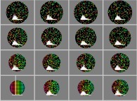 Expansion of a gas inside a bidimensional circular box with display of velocity histograms 