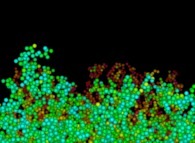 Tridimensional fractal aggregate obtained by means of a 100% pasting process during collisions of particles submitted to a vertical field of gravity 