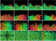 Tridimensional fractal aggregates obtained by means of a 100% pasting process during collisions of particles submitted to a vertical field of gravity 