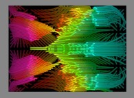 The trajectories of bidimensional quasi-symmetrical fractal aggregates obtained by means of a 100% pasting process during collisions of particles submitted to an attractive central field of gravity 