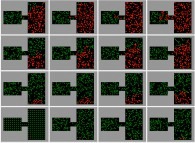 The 'exponential' spreading of a bidimensional epidemic -the COVID-19 coronavirus?- with partial confinement -201 particles-, with a zero death rate and a 100% infection, starting with just one infected person -red particle on bottom left picture- 