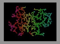 Bidimensional fractal aggregate obtained by means of a 100% pasting process during collisions of particles submitted to an attractive central field of gravity 