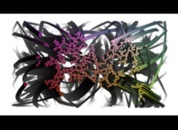 Tridimensional display of the particle trajectories of bidimensional fractal aggregates obtained by means of a 100% pasting process during collisions of particles submitted to an attractive central field of gravity 