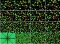 Coalescence of 40832 particles -black holes?- inside a tridimensional parallelepipedic billiard 