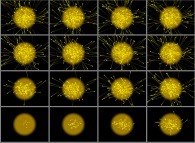 The random walk of photons escaping the Sun 