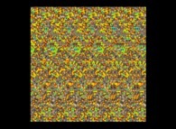 Autostereogram of the CMAP 