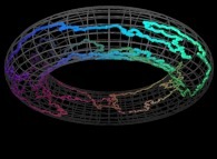 Bidimensional closed self-avoiding brownian motion on a torus 